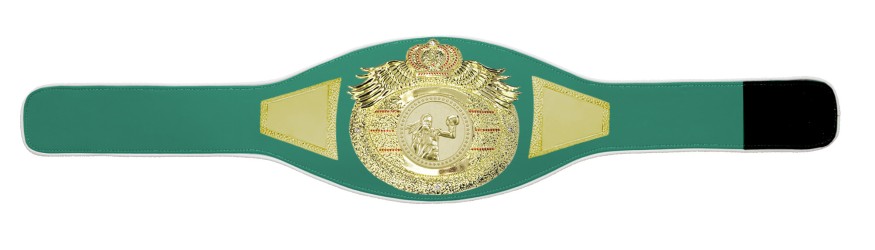 *NEW* PROICON FEMALE BOXING CHAMPIONSHIP BELT/G/FEMBOXG - AVAILABLE IN 6+ COLOURS